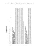 Poly(UG) Polymerase, Constructs, and Methods of Making and Using the Same diagram and image