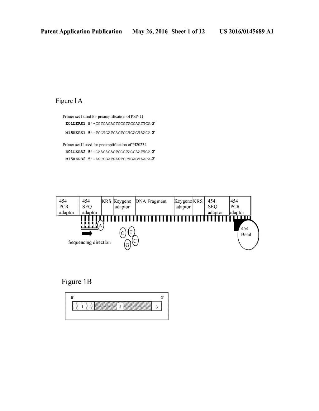 STRATEGIES FOR HIGH THROUGHPUT IDENTIFICATION AND DETECTION OF     POLYMORPHISMS - diagram, schematic, and image 02