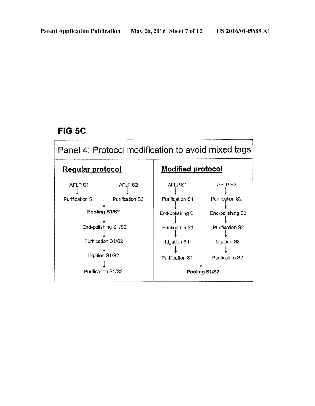 STRATEGIES FOR HIGH THROUGHPUT IDENTIFICATION AND DETECTION OF     POLYMORPHISMS - diagram, schematic, and image 08