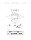 STRATEGIES FOR HIGH THROUGHPUT IDENTIFICATION AND DETECTION OF     POLYMORPHISMS diagram and image