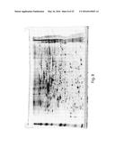 METHODS FOR THE DIAGNOSIS OF ONCOLOGICAL DISORDERS USING EPIMETABOLIC     SHIFTERS, MULTIDIMENSIONAL INTRACELLULAR MOLECULES, OR ENVIRONMENTAL     INFLUENCERS diagram and image