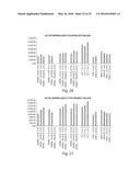 METHODS FOR THE DIAGNOSIS OF ONCOLOGICAL DISORDERS USING EPIMETABOLIC     SHIFTERS, MULTIDIMENSIONAL INTRACELLULAR MOLECULES, OR ENVIRONMENTAL     INFLUENCERS diagram and image