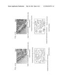 METHOD FOR PRODUCING JOURNAL PART OF 9 TO 12% Cr STEEL TURBINE ROTOR, AND     JOURNAL PART PRODUCED BY THE METHOD diagram and image