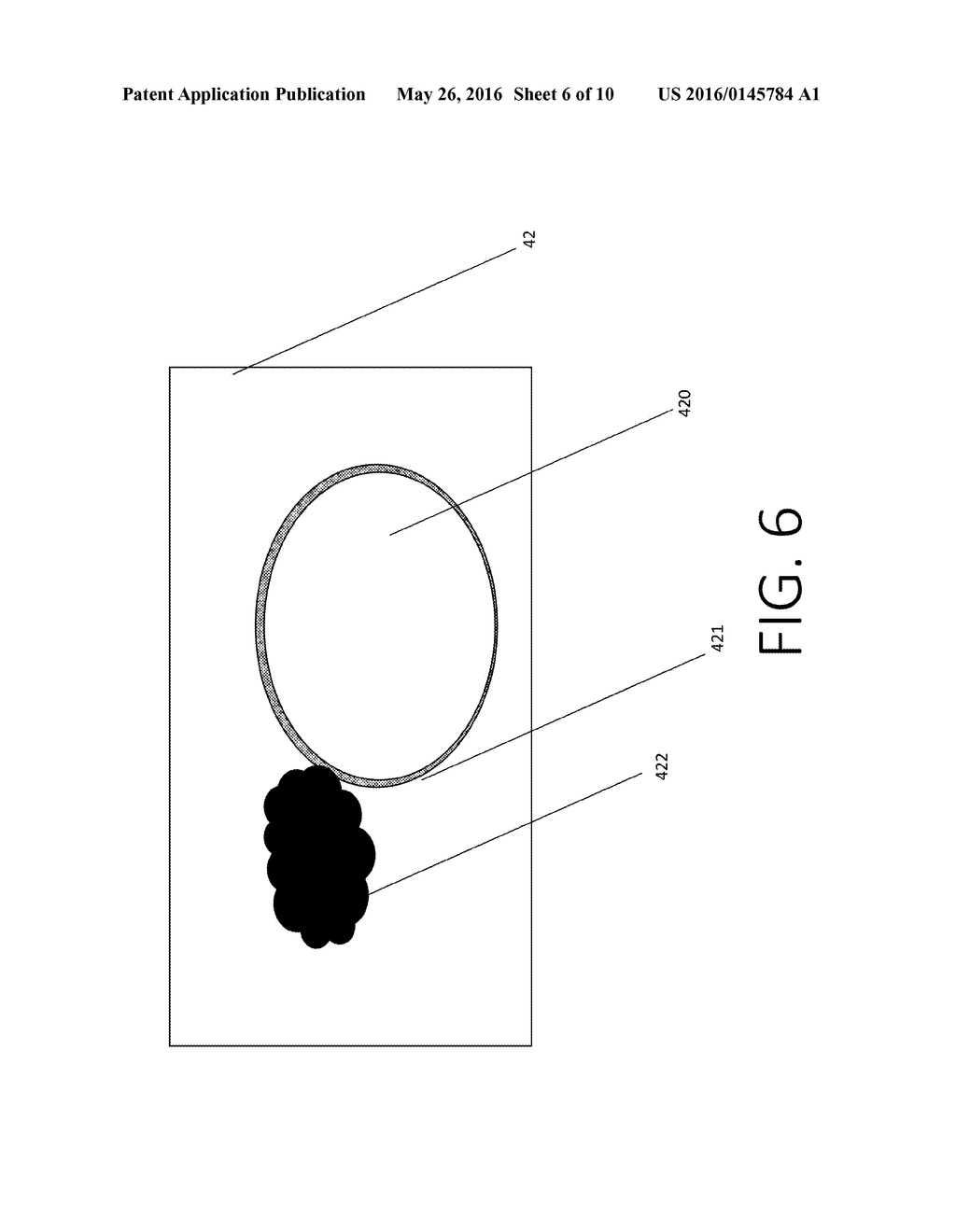 HIERARCHICALLY STRUCTURED CARBON NANOTUBE ARTICLES AND METHODS FOR     PRODUCTION THEREOF - diagram, schematic, and image 07