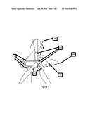 Turbine Fluid Velocity Field Measurement diagram and image