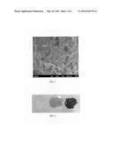 METHOD FOR PREPARING HYDROGEL BEAD FOR DETECTION OF HYDROFLUORIC ACID AND     KIT COMPRISING THE SAME diagram and image