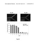 SYSTEMS AND METHODS FOR THE CAPTURE AND SEPARATION OF MICROPARTICLES diagram and image