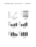 CXCR4 AND ROBO1 EXPRESSION AS MARKERS FOR AUTOIMMUNE DIABETES diagram and image