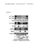 METHOD FOR SCREEING CANCER METASTASIS INHIBITOR USING CULTURE OF CELLS OR     SPHEROIDICALLY AGGREGATED CELLS IN WHICH LYSYL-TRNA SYNTHETASE IS     REGULATED TO BE EXPRESSED OR UNEXPRESSED diagram and image