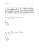 DOT1L PROBES diagram and image