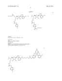 DOT1L PROBES diagram and image