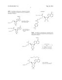 DOT1L PROBES diagram and image