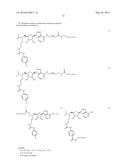 DOT1L PROBES diagram and image