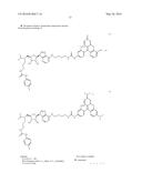 DOT1L PROBES diagram and image