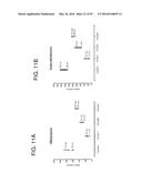 METHODS FOR THE CLASSIFICATION AND DIAGNOSIS OF SCOLIOSIS THROUGH THE USE     OF GI PROTEIN RECEPTOR diagram and image