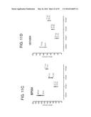 METHODS FOR THE CLASSIFICATION AND DIAGNOSIS OF SCOLIOSIS THROUGH THE USE     OF GI PROTEIN RECEPTOR diagram and image