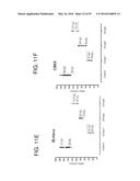 METHODS FOR THE CLASSIFICATION AND DIAGNOSIS OF SCOLIOSIS THROUGH THE USE     OF GI PROTEIN RECEPTOR diagram and image