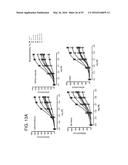 METHODS FOR THE CLASSIFICATION AND DIAGNOSIS OF SCOLIOSIS THROUGH THE USE     OF GI PROTEIN RECEPTOR diagram and image