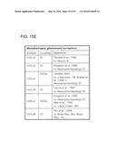 METHODS FOR THE CLASSIFICATION AND DIAGNOSIS OF SCOLIOSIS THROUGH THE USE     OF GI PROTEIN RECEPTOR diagram and image