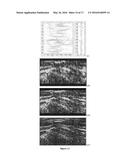 Enhanced Visualization of Geologic Features in 3D Seismic Survey Data     Using High Definition Frequency Decomposition (HDFD) diagram and image