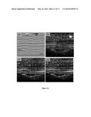 Enhanced Visualization of Geologic Features in 3D Seismic Survey Data     Using High Definition Frequency Decomposition (HDFD) diagram and image