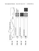 COMPUTATIONAL MICROSCOPY THROUGH A CANNULA diagram and image