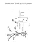 SEE-THROUGH COMPUTER DISPLAY SYSTEMS diagram and image