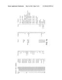 Multifocal Display diagram and image