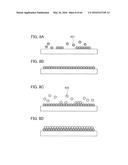 Display Device and Electronic Device diagram and image