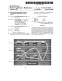 PORTABLE RFID READING TERMINAL WITH VISUAL INDICATION OF SCAN TRACE diagram and image