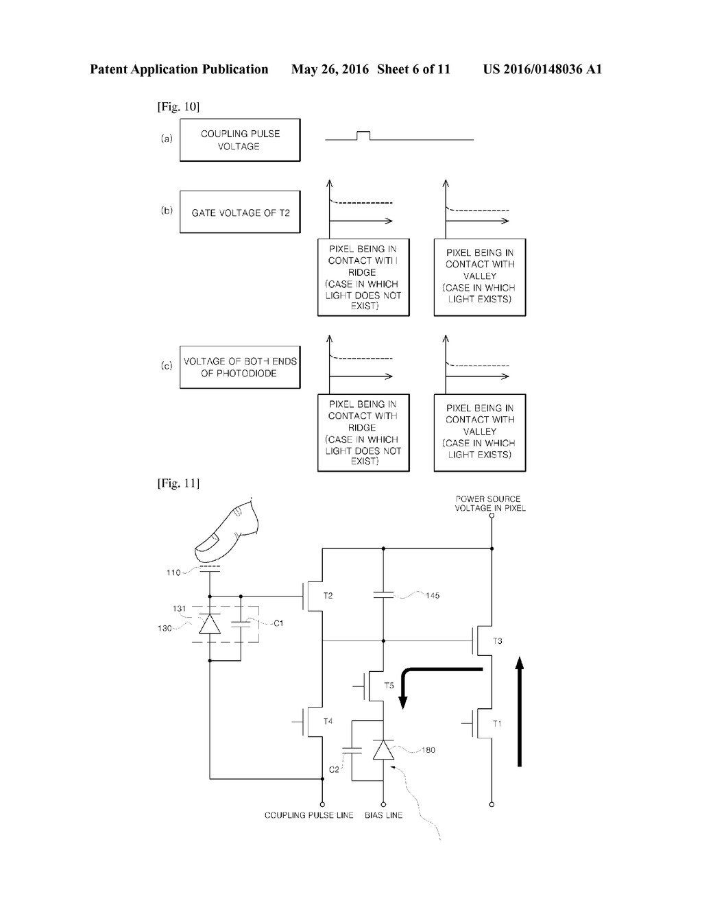 FINGERPRINT RECOGNITION SENSOR CAPABLE OF SENSING FINGERPRINT USING     OPTICAL AND CAPACITIVE METHOD - diagram, schematic, and image 07