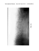 SYSTEMS, APPARATUS, AND METHODS FOR ANALYZING BLOOD CELL DYNAMICS diagram and image