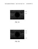 IMAGE RECORDING SYSTEM diagram and image