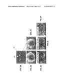 SEMICONDUCTIVE RESIN COMPOSITION AND POWER TRANSMISSION CABLE USING SAME diagram and image