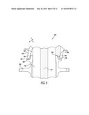 ELECTRIC BUSHINGS HAVING INSULATION MEDUIUM RETENTION SEALS diagram and image