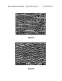 MICROPOROUS MEMBRANE SEPARATORS FOR LITHIUM ION RECHARGEABLE BATTERIES AND     RELATED METHODS diagram and image