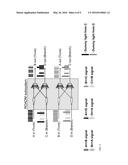 Low Cost Secure Submarine ROADM Branching Unit Using Bidirectional     Wavelength-Selective Switch diagram and image