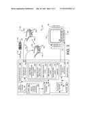 APPARATUS, SYSTEMS AND METHODS FOR SHARED VIEWING EXPERIENCE USING HEAD     MOUNTED DISPLAYS diagram and image