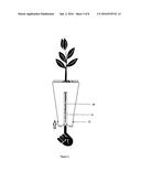 PLANT CULTIVATING CONTAINER diagram and image