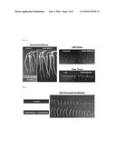 Methods of Use of Seed-Origin Endophyte Populations diagram and image