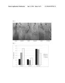 Methods of Use of Seed-Origin Endophyte Populations diagram and image