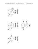 SENSOR ARRANGEMENT FOR RECORDING ELECTRIC SIGNALS diagram and image