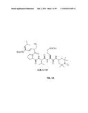 COMPOUNDS FOR THE TREATMENT OF PATHOLOGIES ASSOCIATED WITH AGING AND     DEGENERATIVE DISORDERS diagram and image