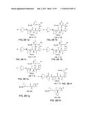 COMPOUNDS FOR THE TREATMENT OF PATHOLOGIES ASSOCIATED WITH AGING AND     DEGENERATIVE DISORDERS diagram and image