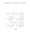 COMPOUNDS FOR THE TREATMENT OF PATHOLOGIES ASSOCIATED WITH AGING AND     DEGENERATIVE DISORDERS diagram and image