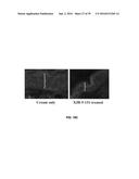 COMPOUNDS FOR THE TREATMENT OF PATHOLOGIES ASSOCIATED WITH AGING AND     DEGENERATIVE DISORDERS diagram and image