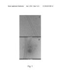 HYALUROSOMES, THEIR USE IN TOPICAL COSMETIC OR PHARMACEUTICAL COMPOSITIONS     AND THEIR PREPARATION PROCESS diagram and image