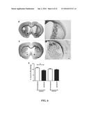 N,N -DI-1 NAPHTHYLGUANIDINE HCL (NAGH) AND N,N -DI-P-NITROPHENYLGUANIDINE     HCL (NAD) TREATMENT FOR STROKE AT DELAYED TIMEPOINTS diagram and image