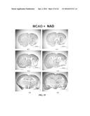 N,N -DI-1 NAPHTHYLGUANIDINE HCL (NAGH) AND N,N -DI-P-NITROPHENYLGUANIDINE     HCL (NAD) TREATMENT FOR STROKE AT DELAYED TIMEPOINTS diagram and image