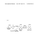 COMPOUNDS AND METHODS TO TREAT ORGANOPHOSPHORUS POISONING diagram and image